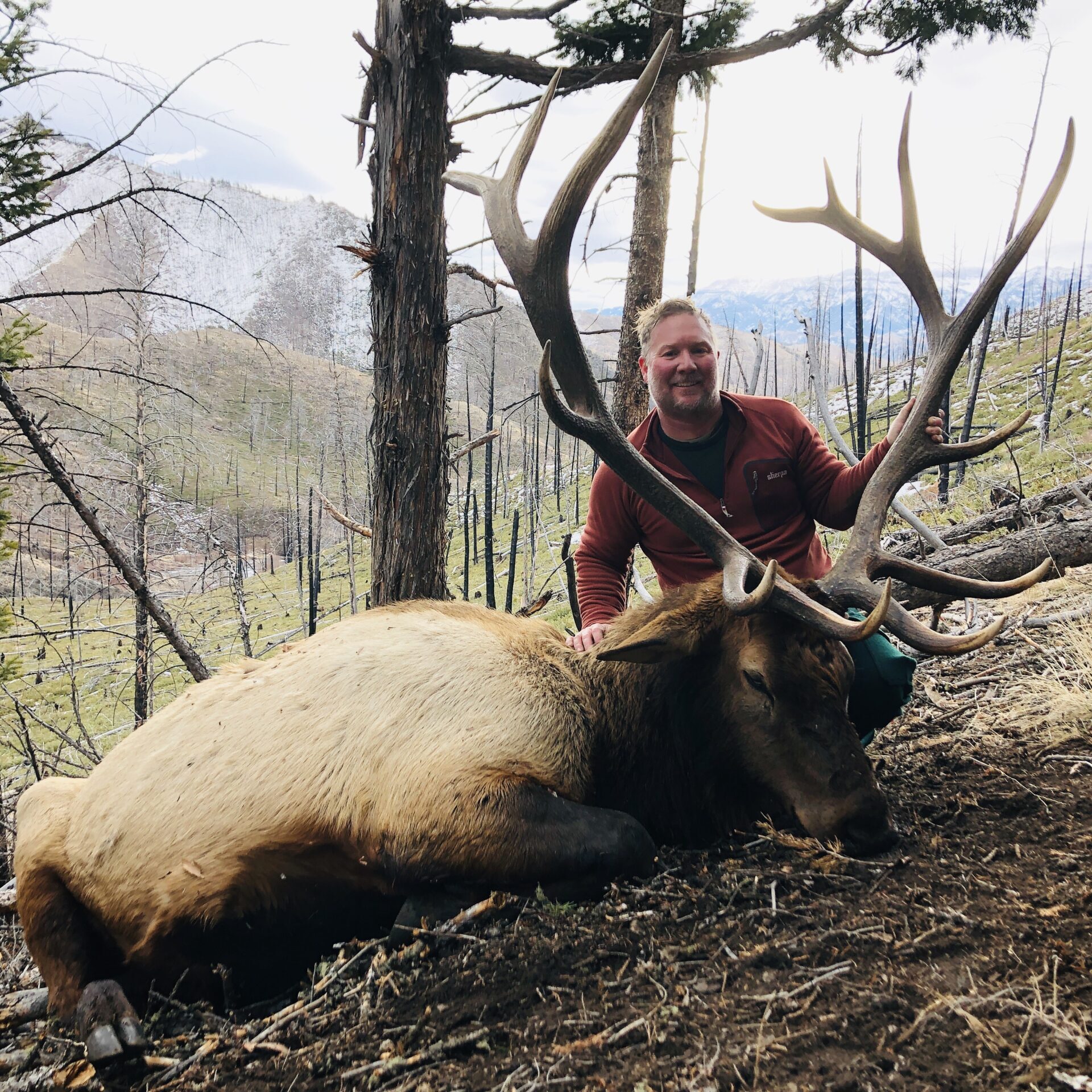 Matt and his bull elk.